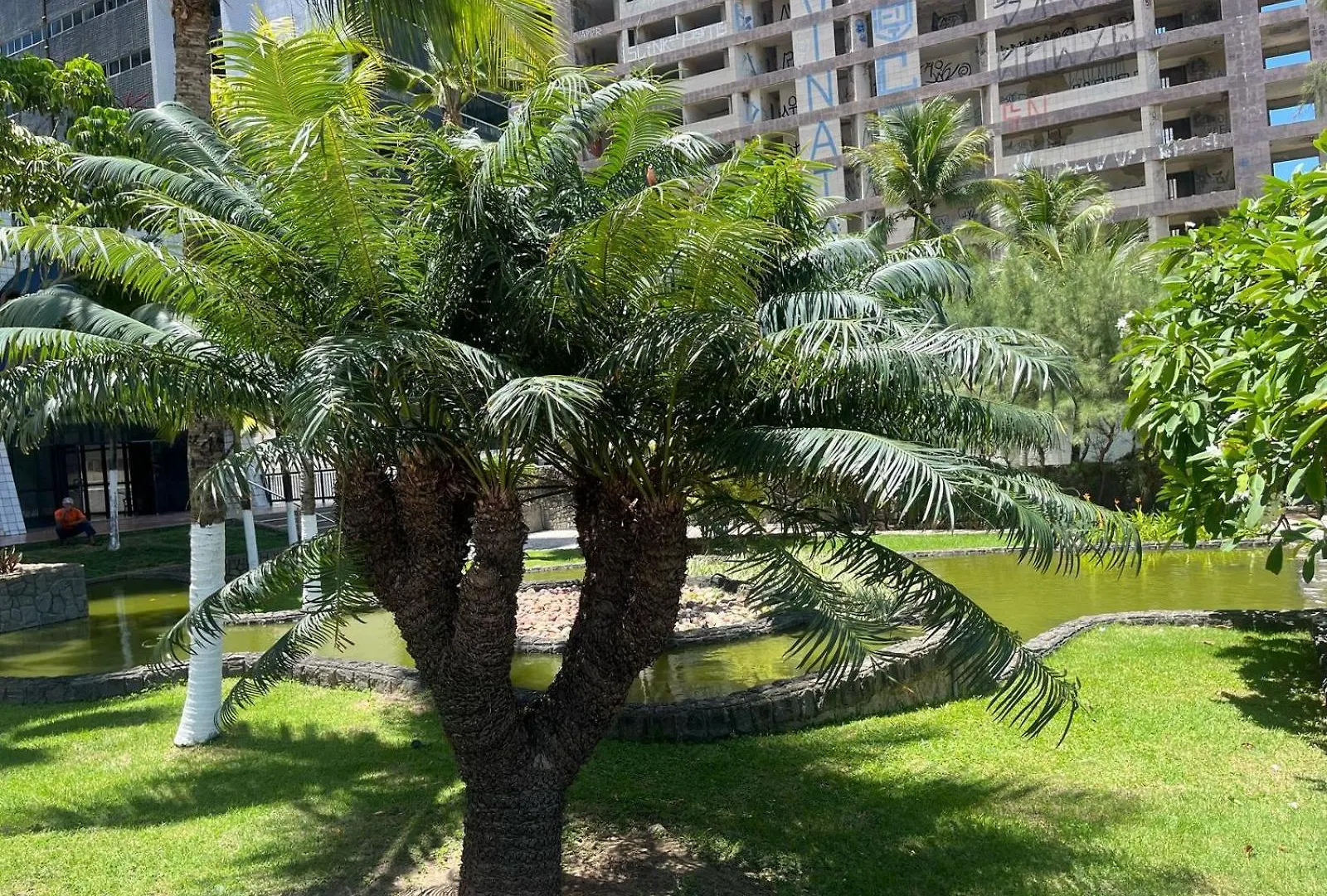 Flat Golden Beach Praia De Piedade Pe Recife 0*,